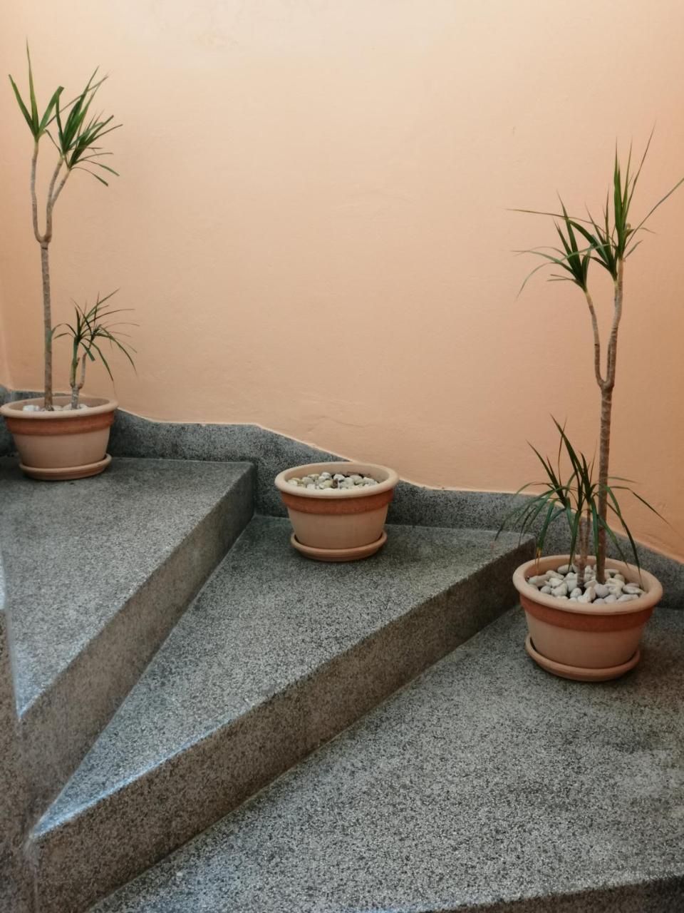 Apartment Singa 扎达尔 外观 照片